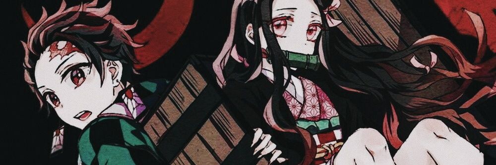 Melissa Avitia banner