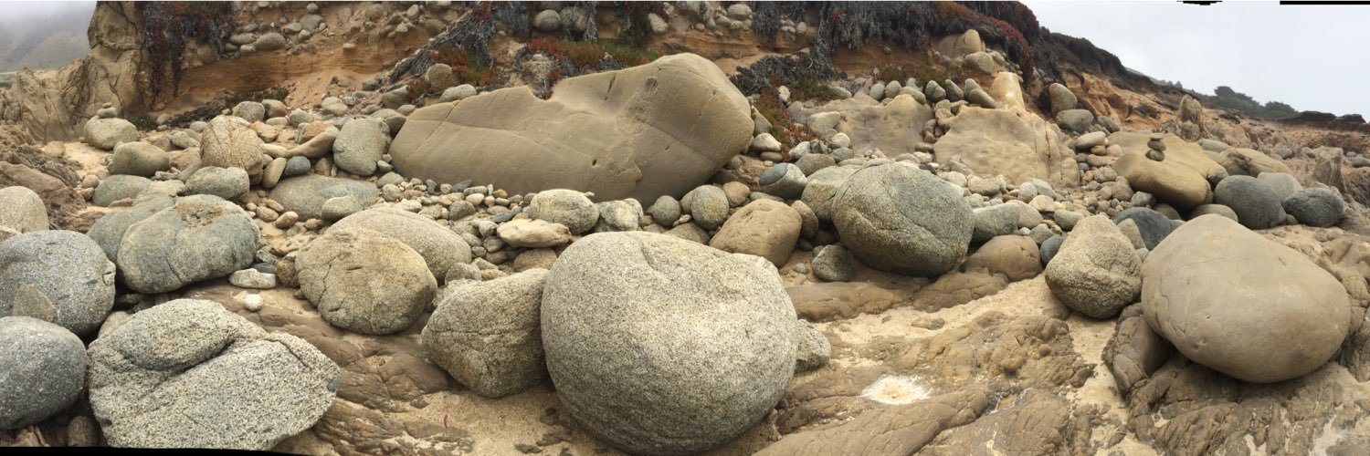 ShortiniPhotog's profile banner image