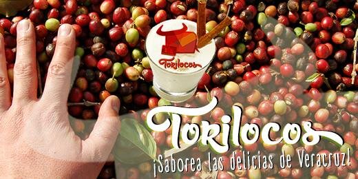 Torilocos's profile banner image