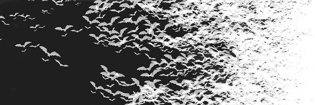 Marcus the Joyful Bastard banner