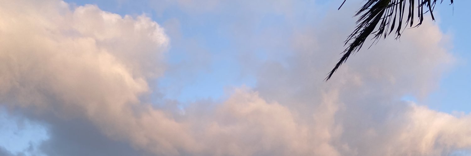 maripositaviaja's profile banner image