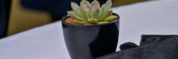 EKabanda Profile Banner