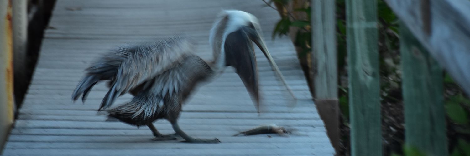 deadthenwhat's profile banner image