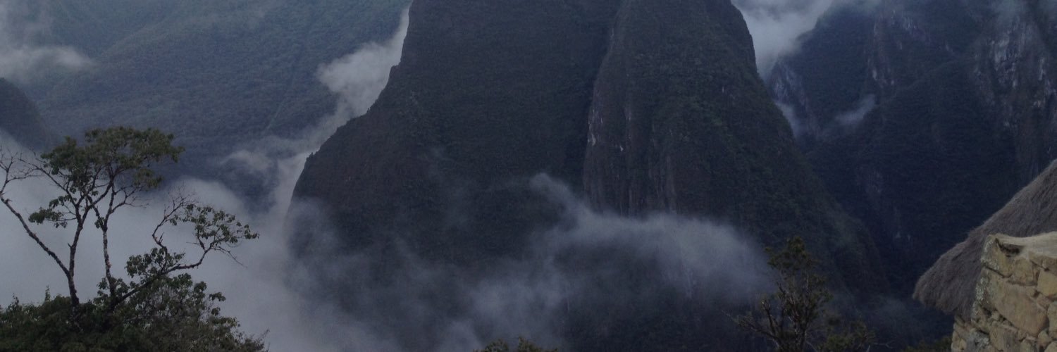 maxawilkins's profile banner image