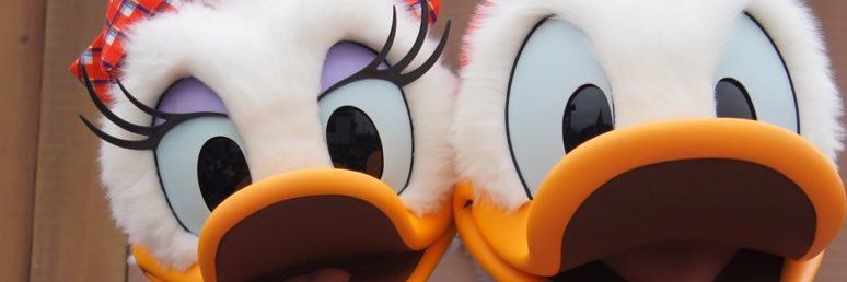 Shrek118's profile banner image