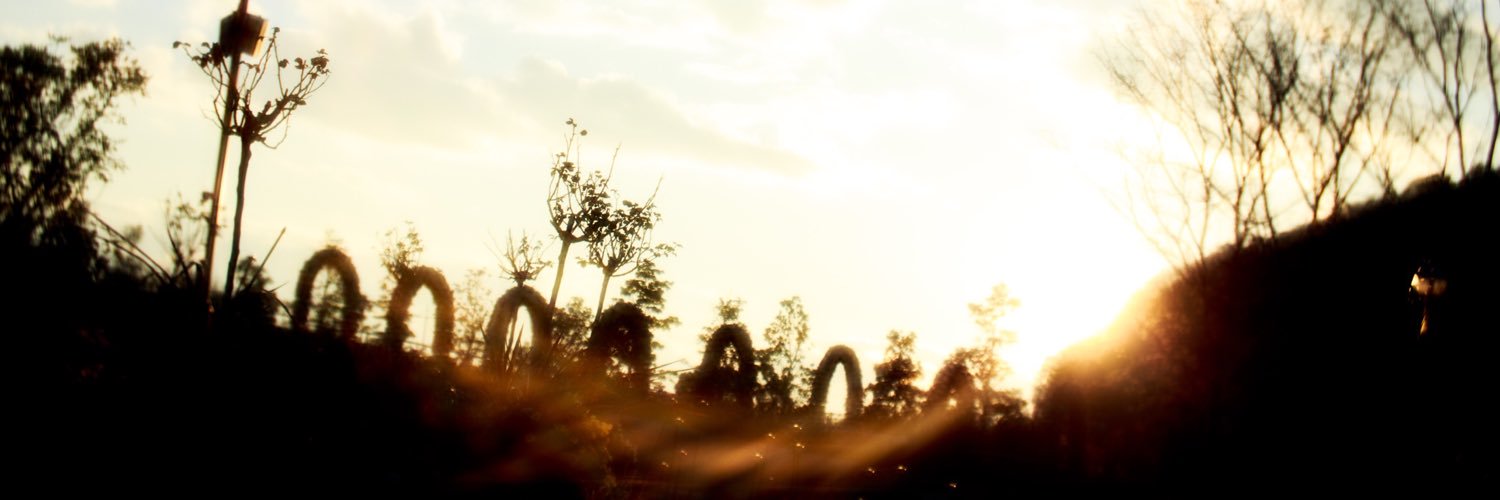 lie_de_n's profile banner image