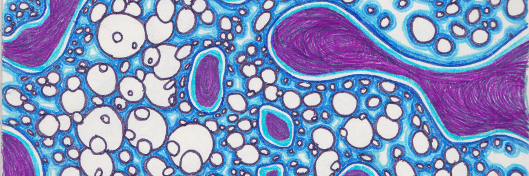calypsomatic's profile banner image