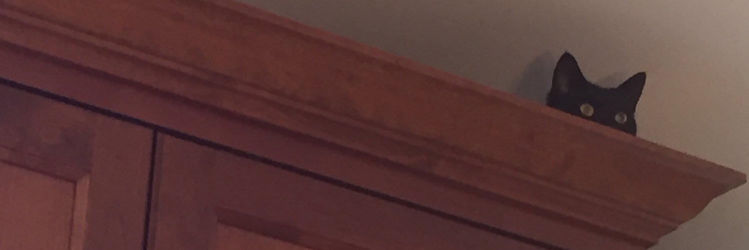 Mike Tagami banner
