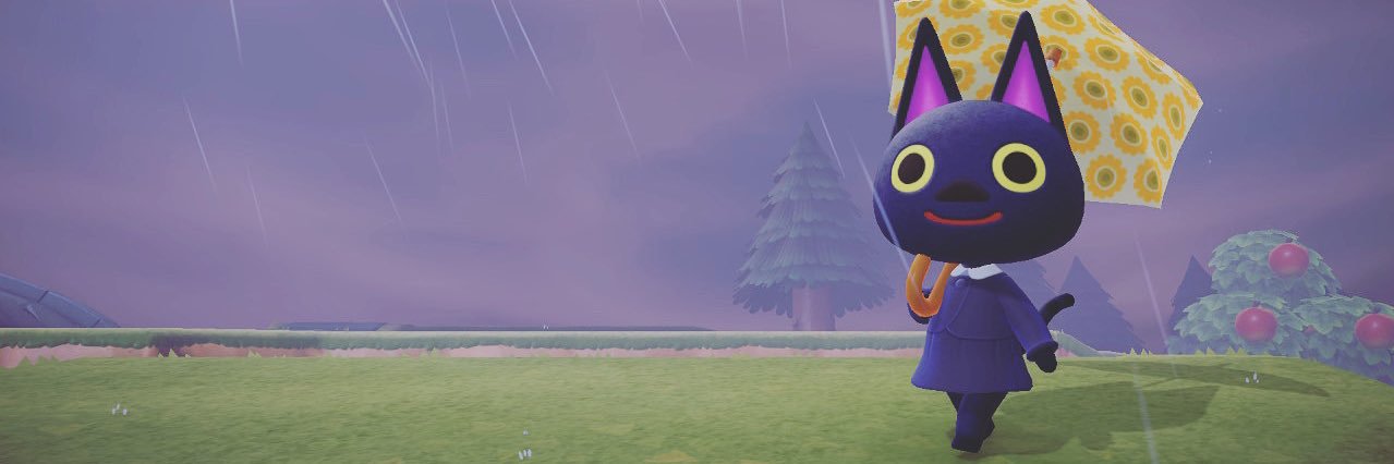 nikn8k's profile banner image
