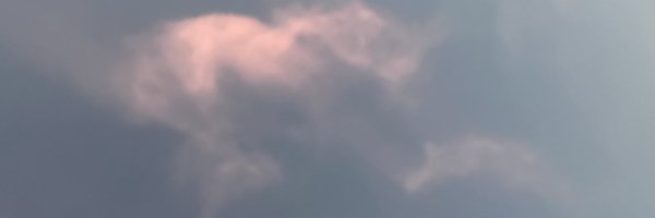 supremekleintel Profile Banner