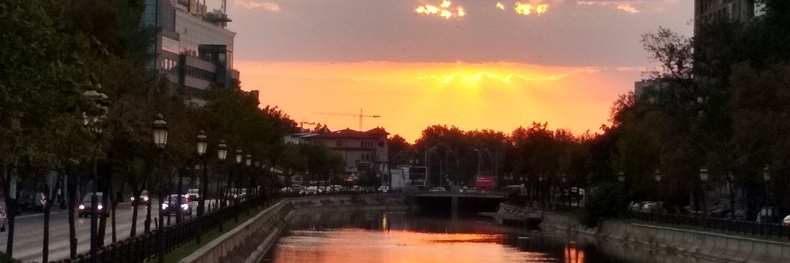 DavidRi73183105's profile banner image