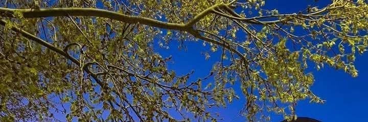 murad_jaf5's profile banner image