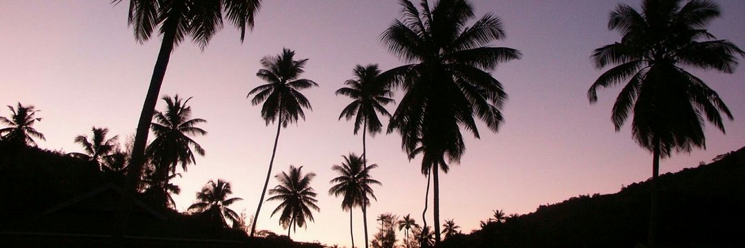 nereafer_'s profile banner image