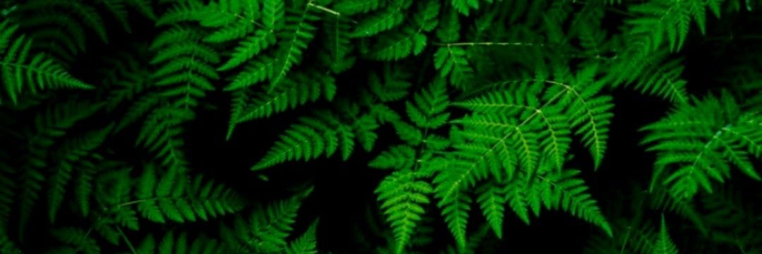 jutebaggirl's profile banner image