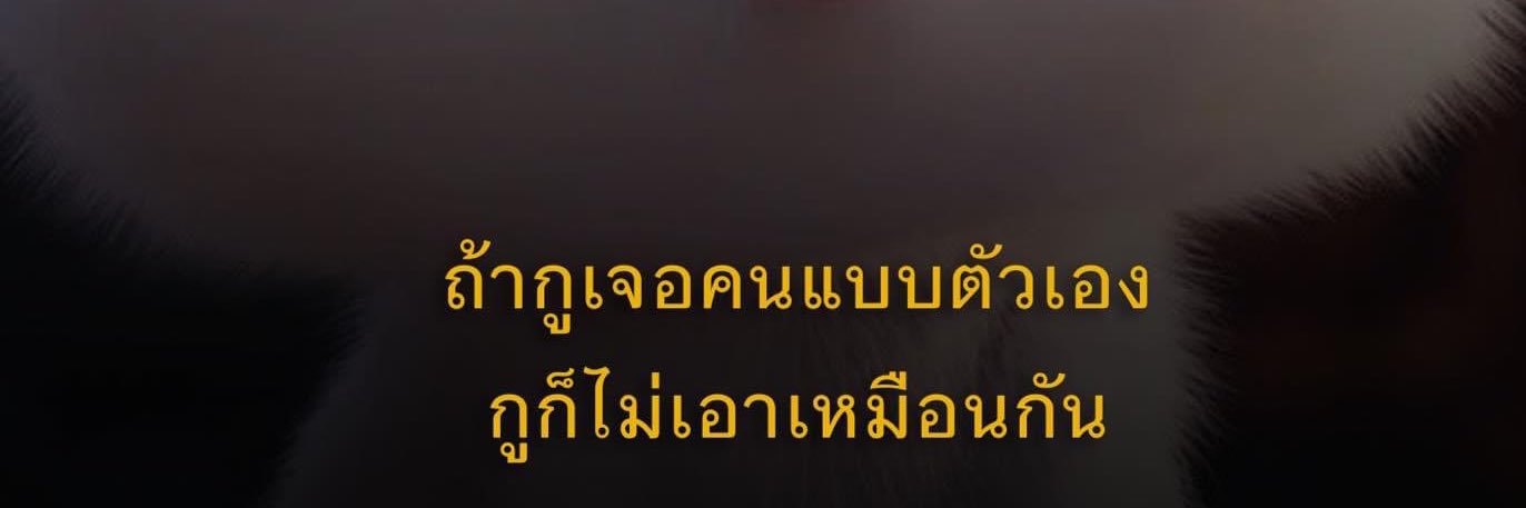 Minnynarakk's profile banner image