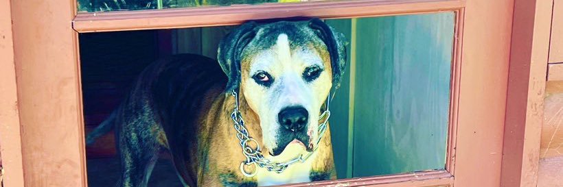 Broke⚽️Mom ❤️💙⚽️🖤💛 banner