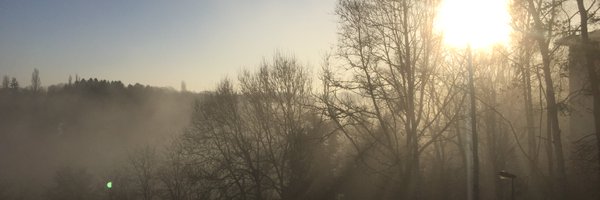 StepsLowe Profile Banner