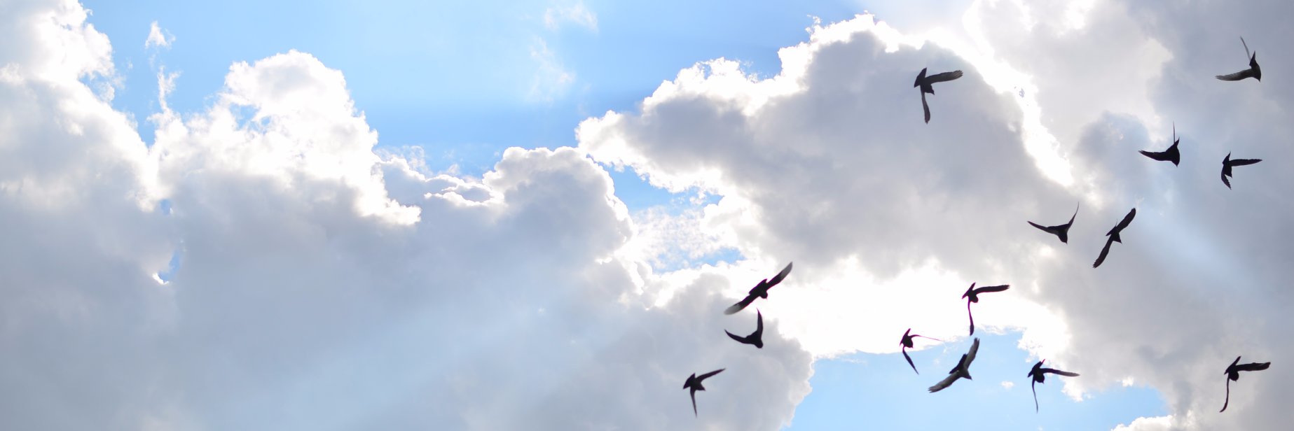 Ignatius Christiano banner