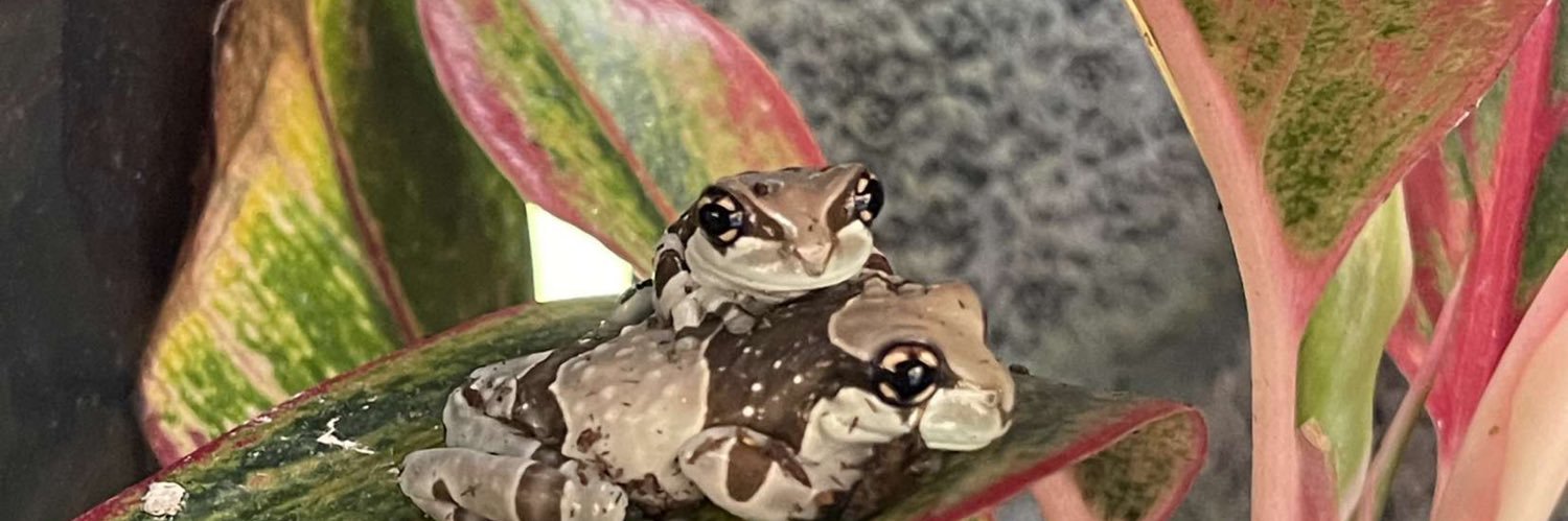 htsloat's profile banner image