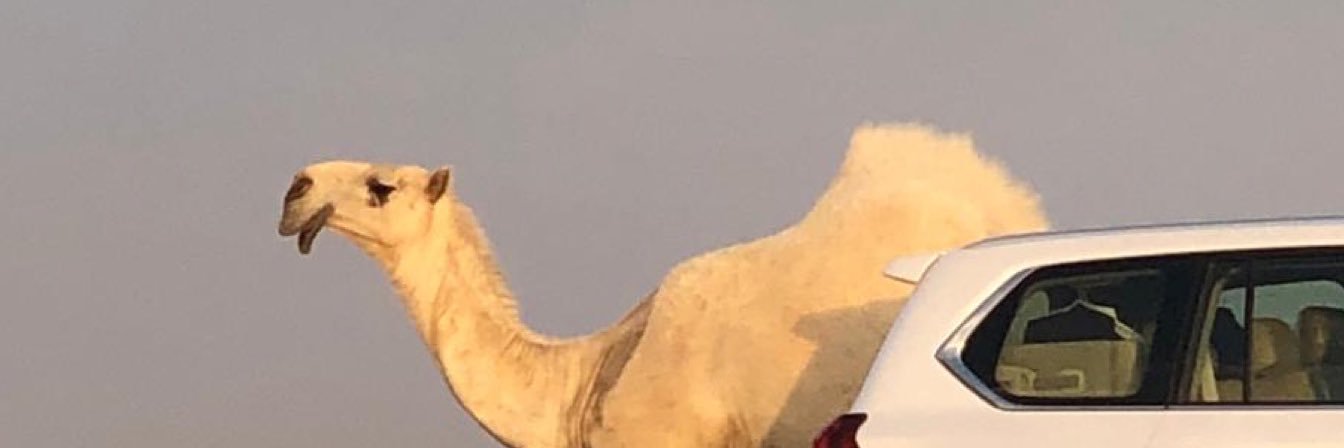 نايف بن ناصر السيحاني banner