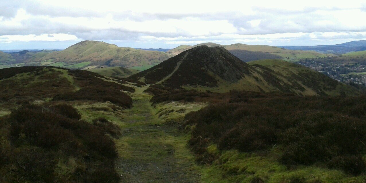 Rachel Shields banner