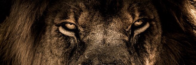 PridePicture's profile banner image