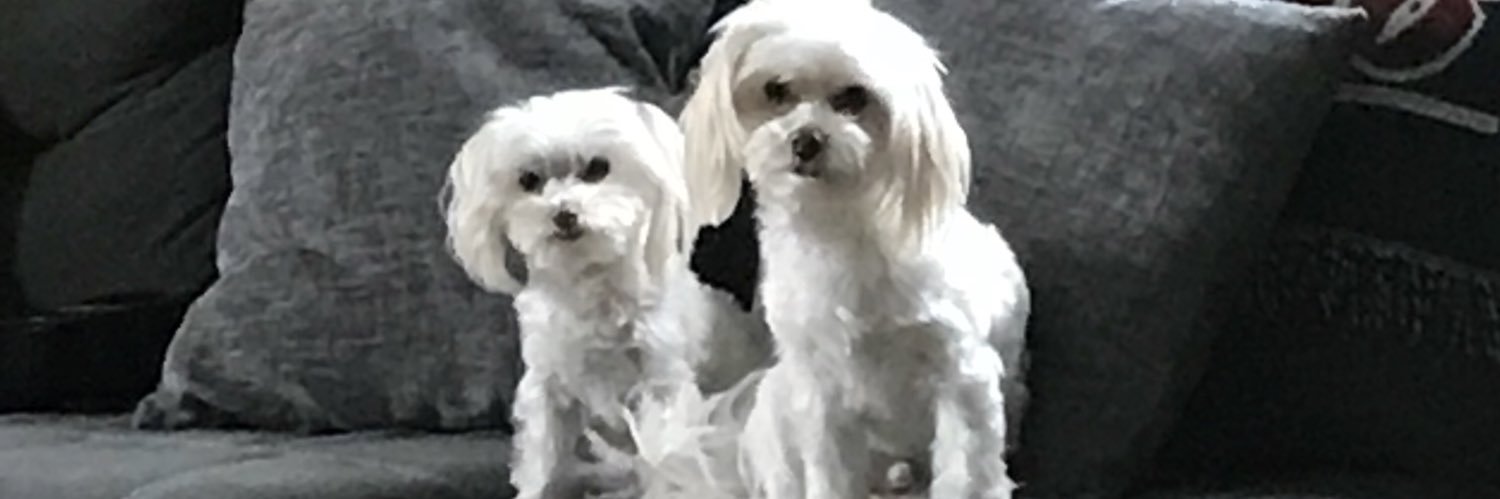 K_Pagne7's profile banner image