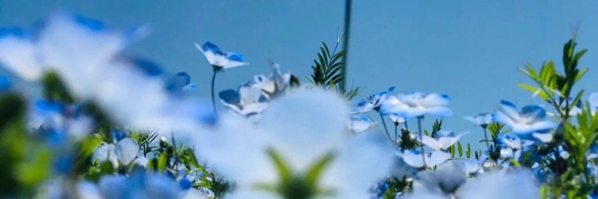 fausalcoy's profile banner image