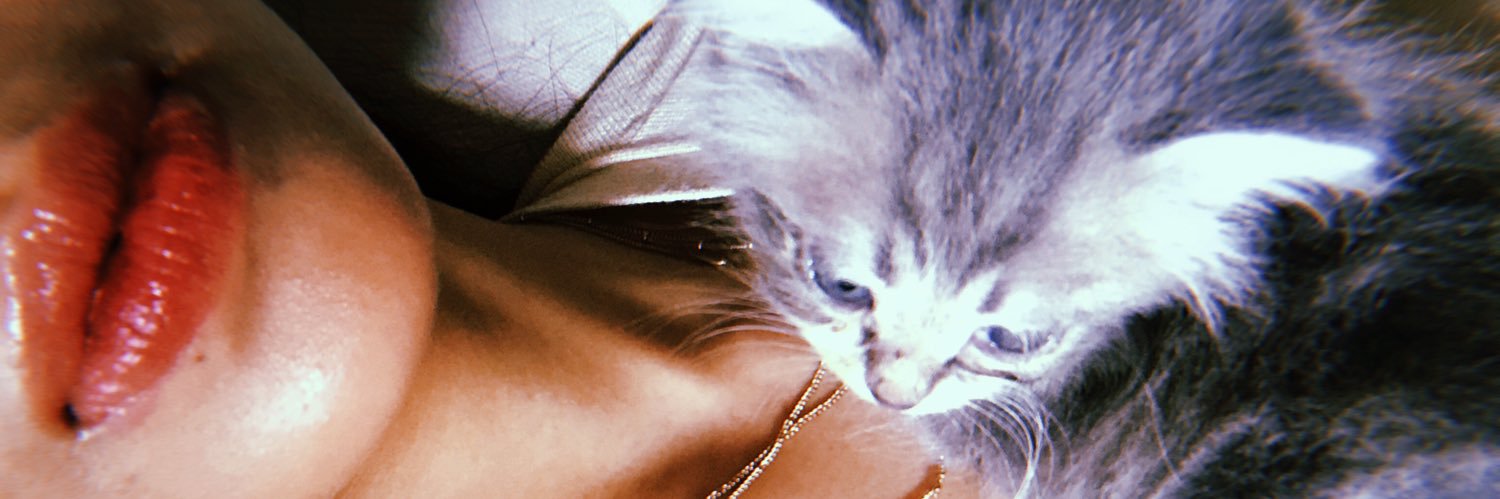 fachmantio's profile banner image
