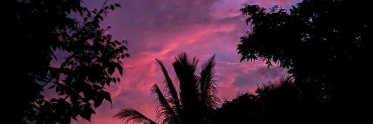 almaferreroo's profile banner image