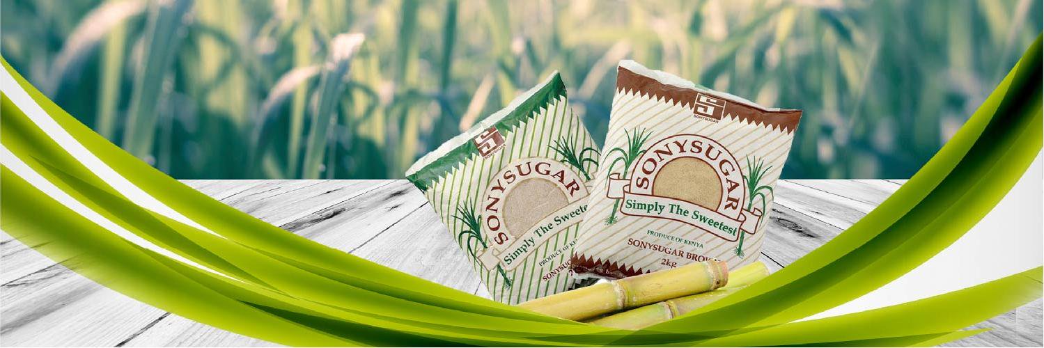 SonySugar Company 2025 Ltd banner