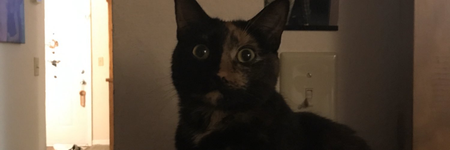 BongRipsDaily's profile banner image