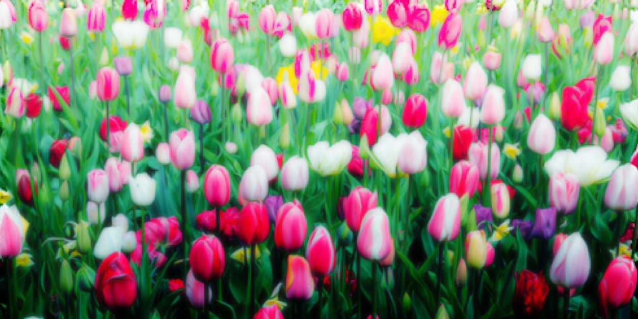 Sabrinat_witter's profile banner image