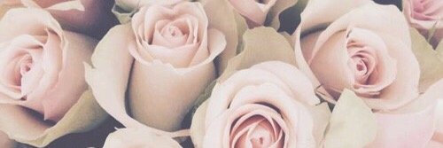 lisasegelryd's profile banner image