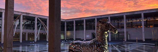 echigo_tsumari Profile Banner