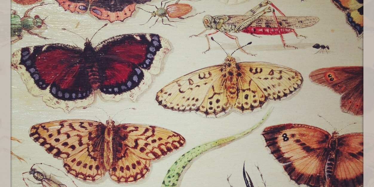 rosa carreño banner