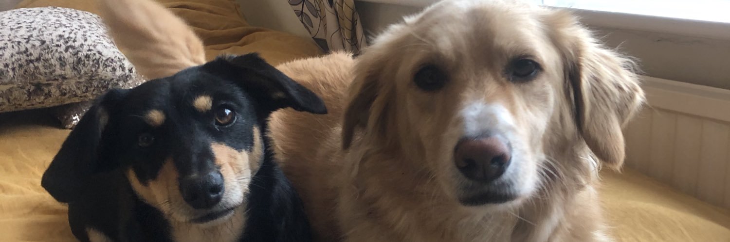 RachelLindsay0's profile banner image