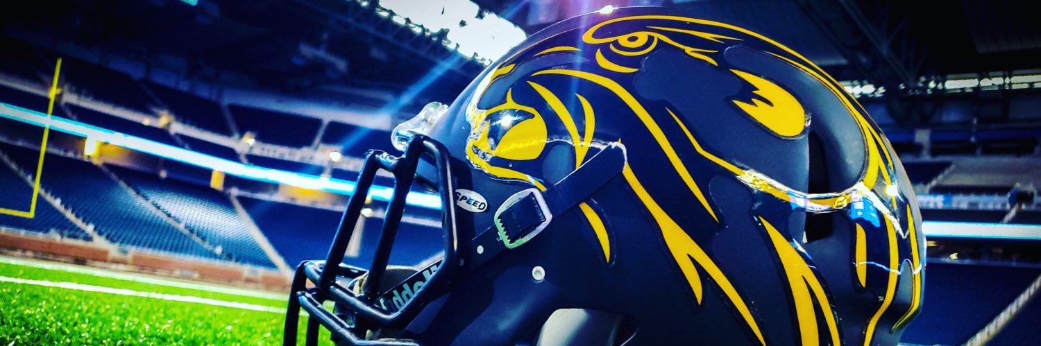 Algonac Football banner