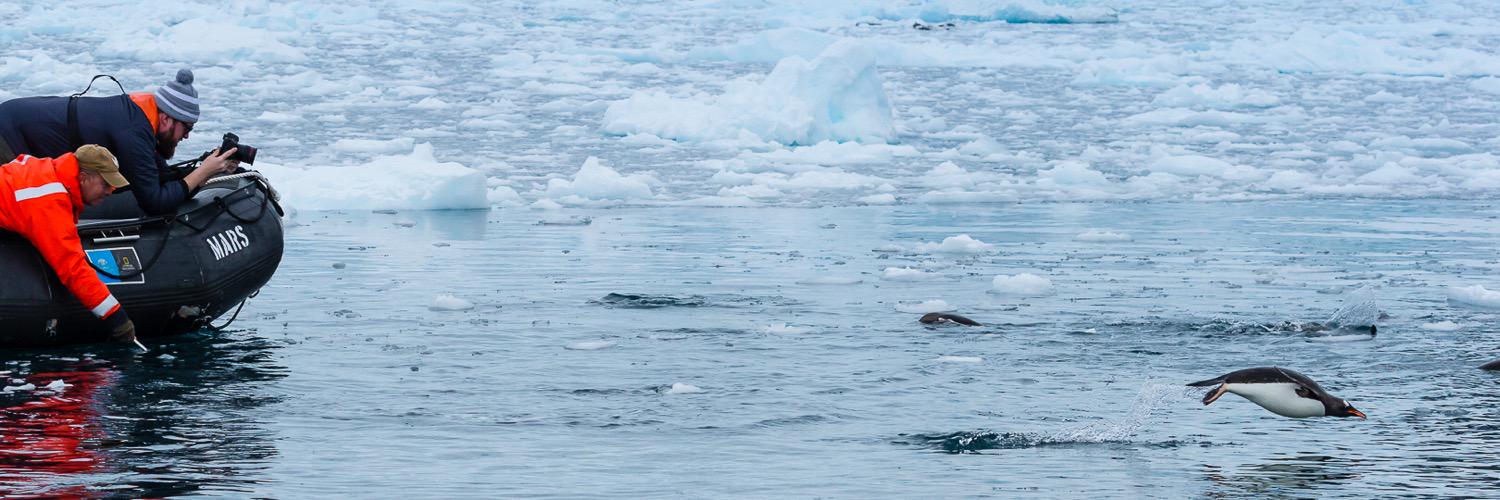 Henry Darrow McComas 🏕️ banner