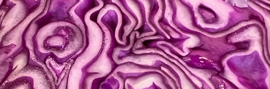 Marjorie Boggess banner