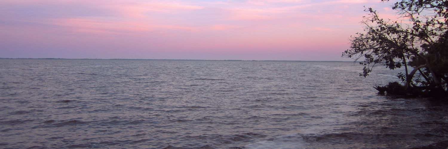 Wagobera's profile banner image