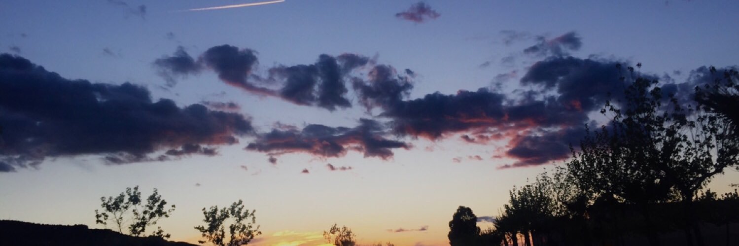 Luzma_ab's profile banner image