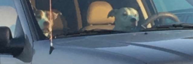 404Mario_'s profile banner image