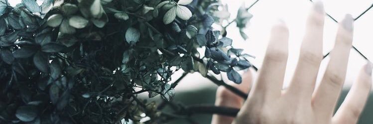 ❝ บันดาลใจ ❥ ❞ banner