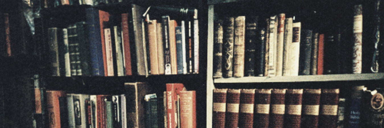 Merel_Oosterom's profile banner image
