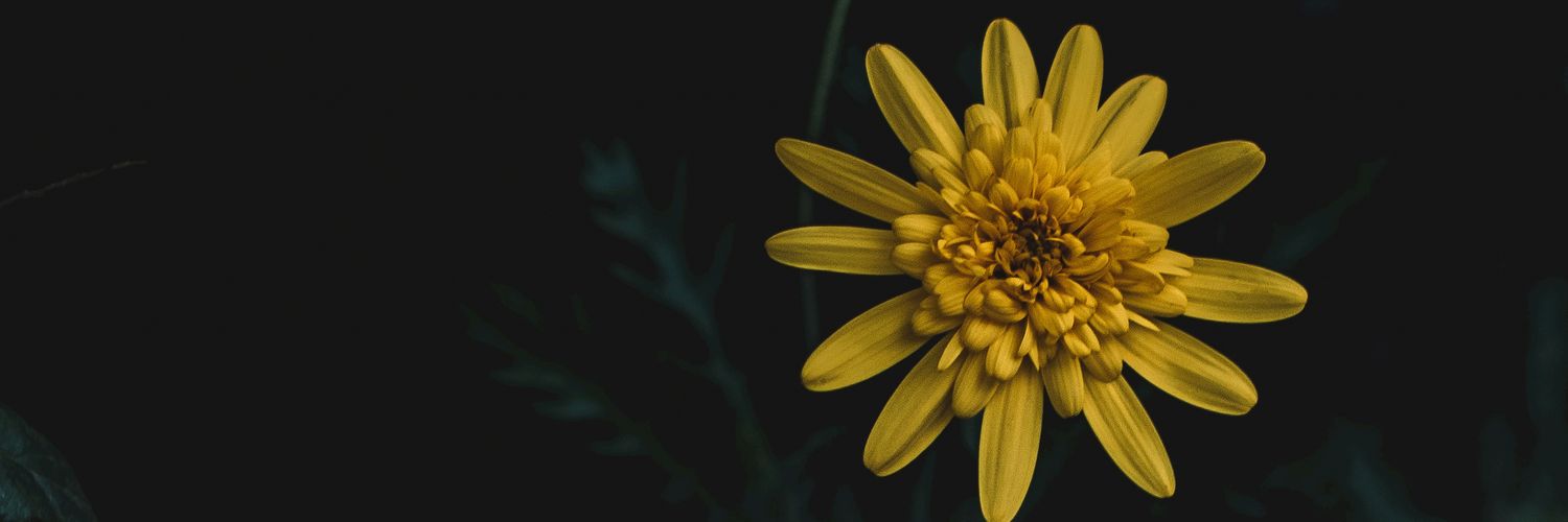 Tete_Aranda's profile banner image