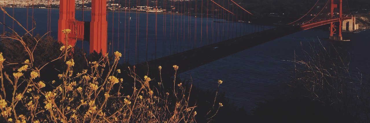 litapierce_'s profile banner image