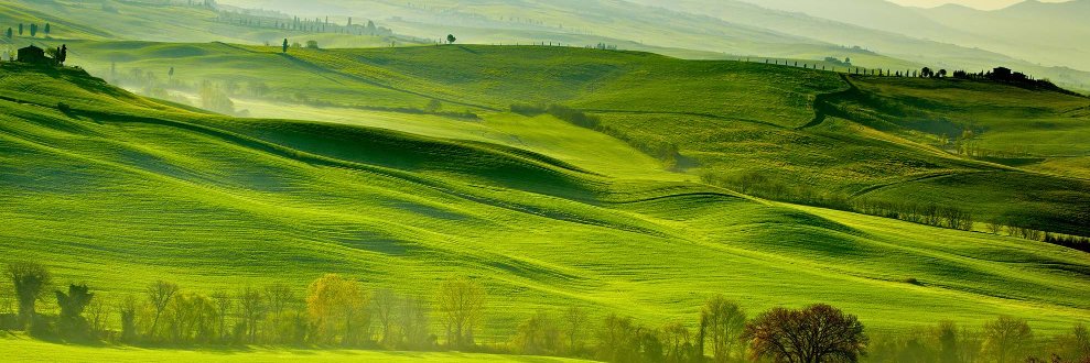 Nature_owns's profile banner image