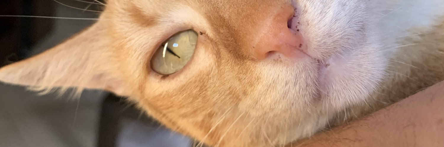 argnih's profile banner image