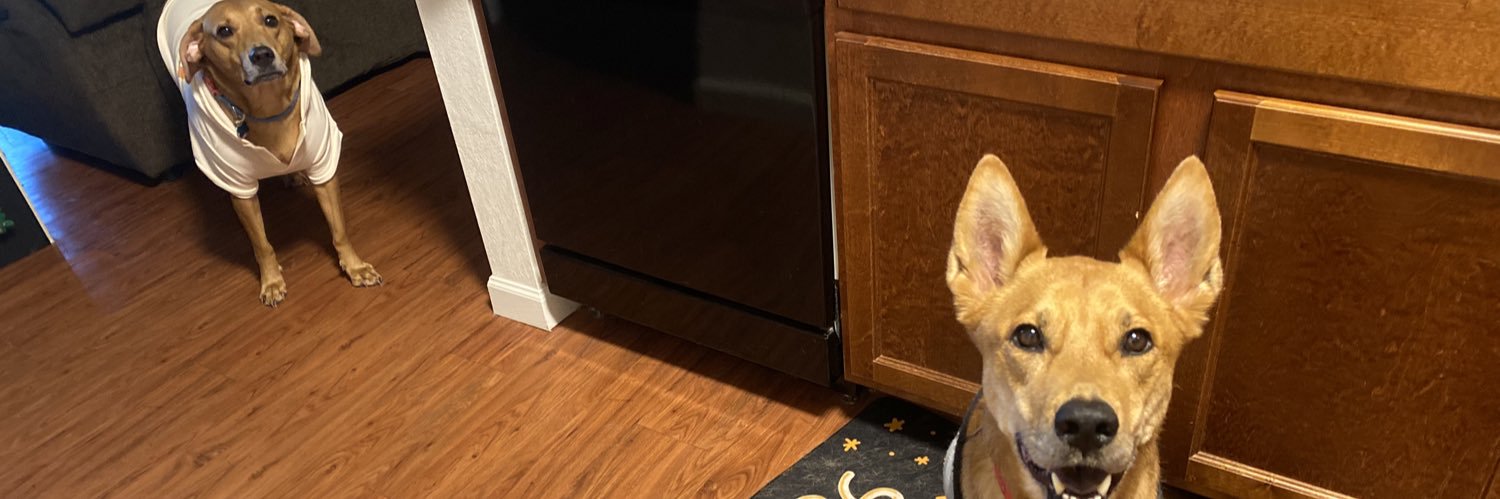 emilieschmidt2's profile banner image